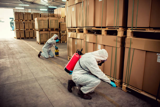 Best Termite Control Services  in San Rafael, NM