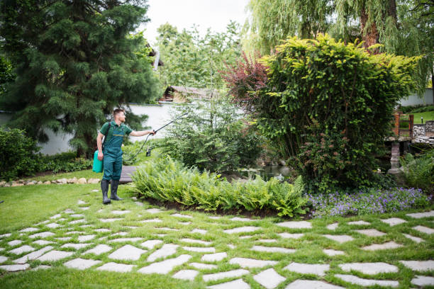 Best Affordable Pest Control Services  in San Rafael, NM
