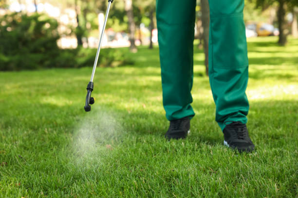 Best Local Pest Control Services  in San Rafael, NM