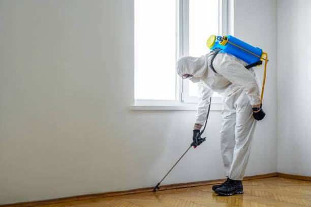 Best Best Pest Control Companies  in San Rafael, NM