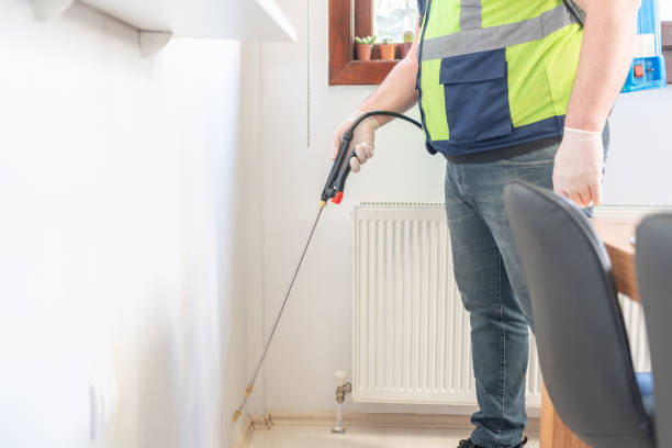 Best Ant Control Services  in San Rafael, NM